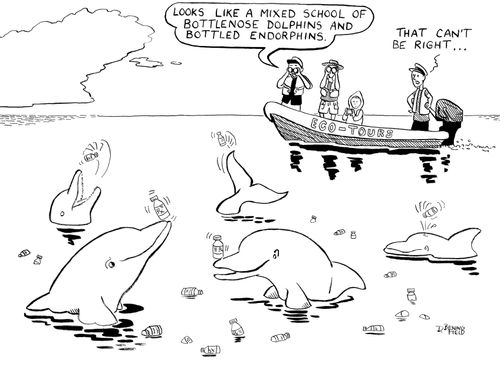 'Looks like a mixed school of Bottlenose dolphins and bottled endorphins.'