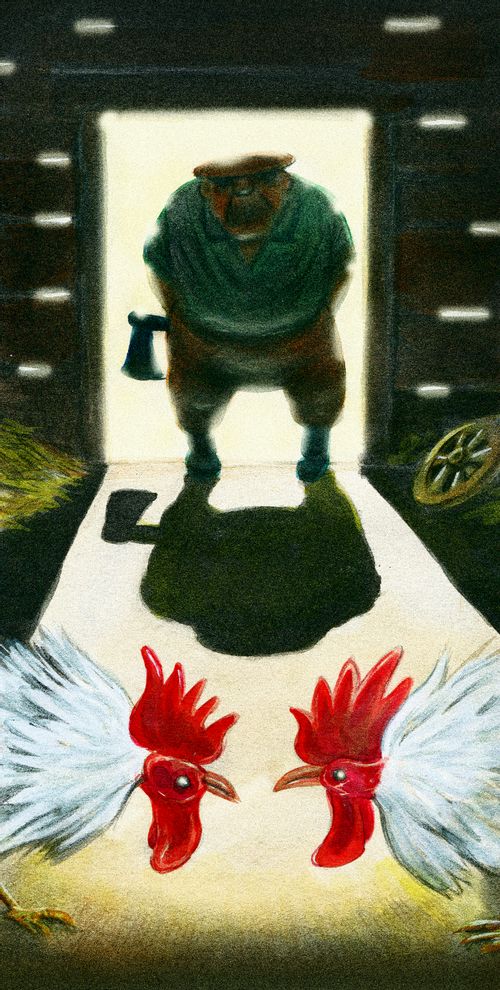 Judgement