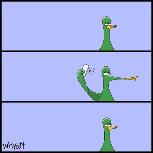 Duck Taking A Selfie