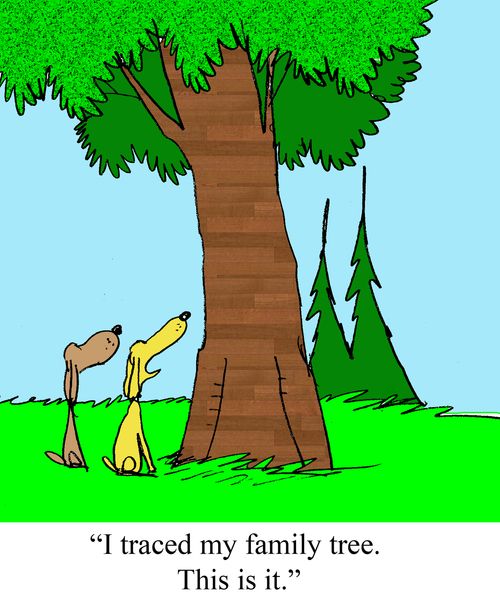 "I traced my family tree. This is it."