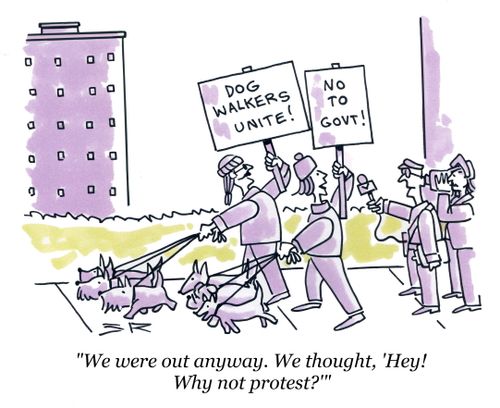 Dog Walkers Unite