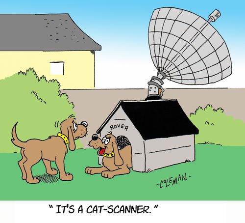 "It's a cat-scanner."