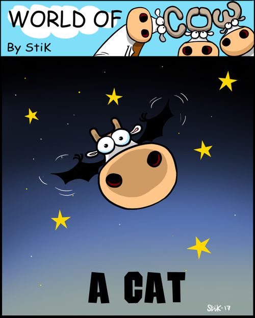 A Cat