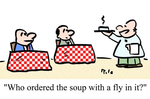 'Who ordered the soup with a fly in it?'