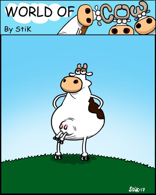 Cow Pockets
