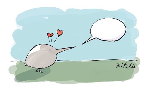 Kiwi falls in love with speech bubble