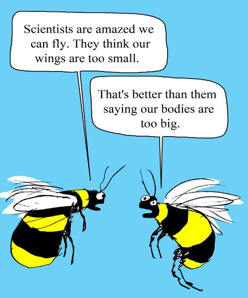 "Scientists are amazed we can fly. They think our wings are too small."