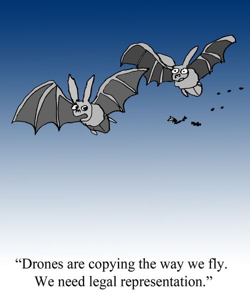 "Drones are copying the way we fly. We need legal representation."