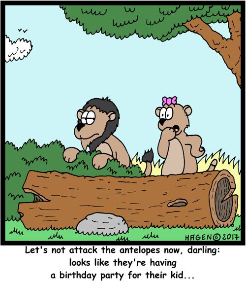 "Let's not attack the antelopes now, darling: looks like they're having a birthday party for their kid..."