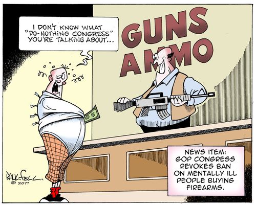 News Item: GOP congress revokes ban on mentally ill people buying firearms.