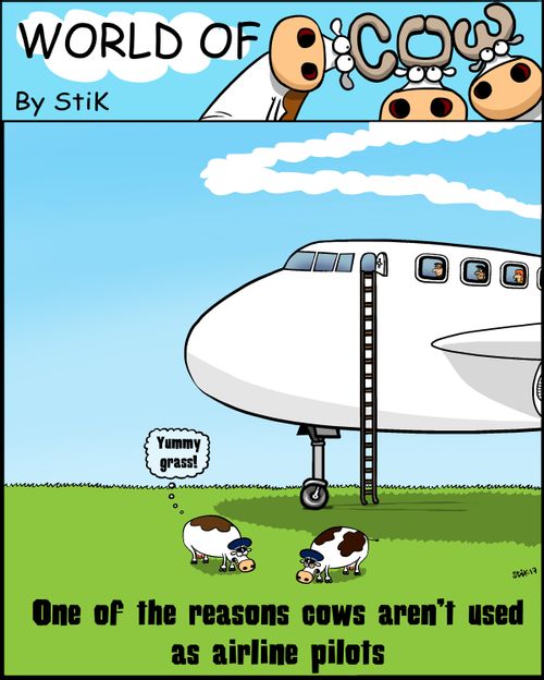 "One of the reasons cows aren't used as airline pilots."