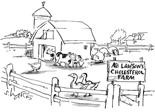 'Ab Lawsons cholesterol farm'