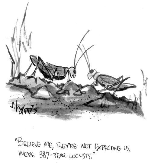 "Believe me, they're not expecting us. We're 387-year locusts."