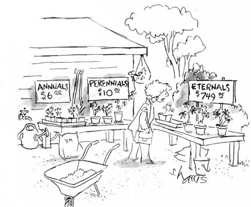 A flower nursery: 'Annuals'  'Perennials' 'Eternals'