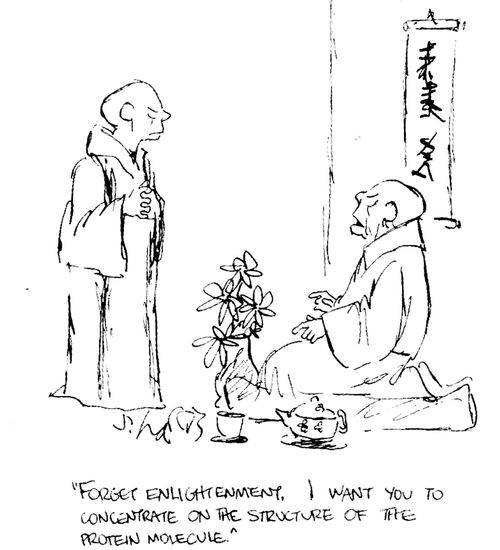 "Forget enlightenment. I want you to concentrate on the structure of the protein molecule."