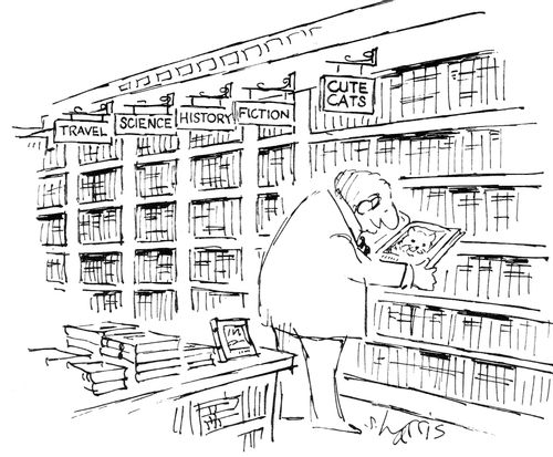 A man browses the 'Cute Cats' section of the bookstore.