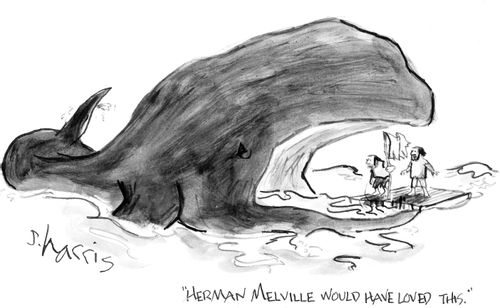 "Herman Melville would have loved this"