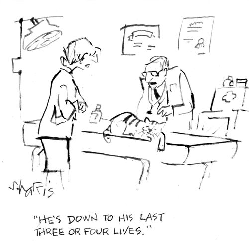 "He's down to his last three or four lives."