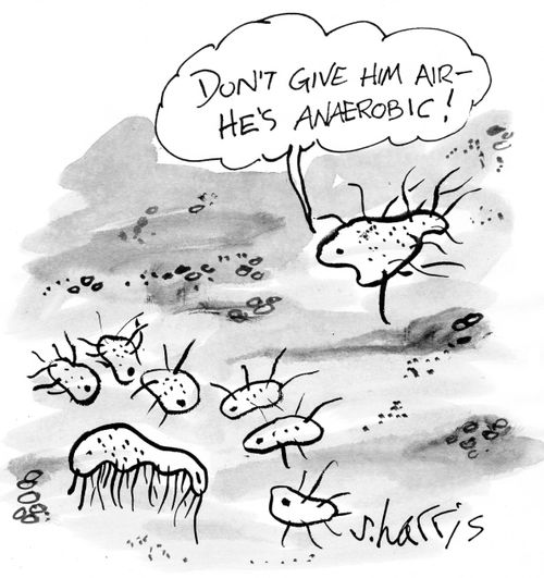 "Don't give him air- he's anaerobic!"