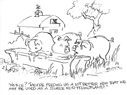 "Notice? They're feeding us a lot better now that we may be used as a source for transplants."