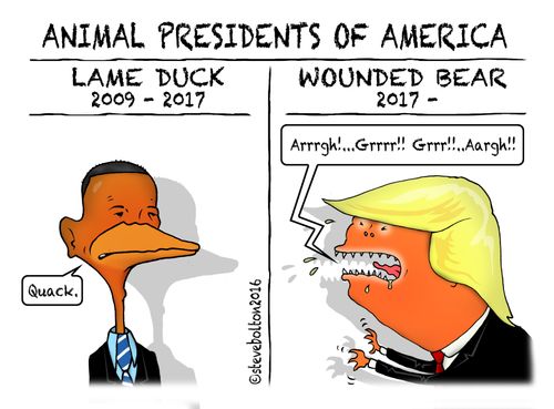 Animal Presidents of America