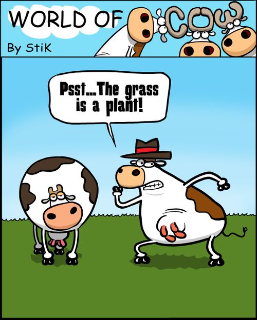 "Psst...The grass is a plant!"
