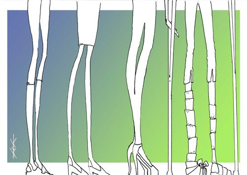 The Dangers of Fashion