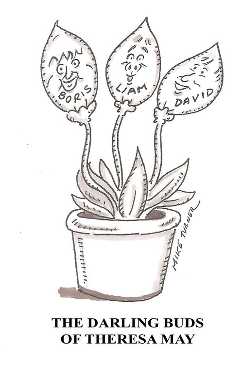 The Darling Buds of Theresa May.