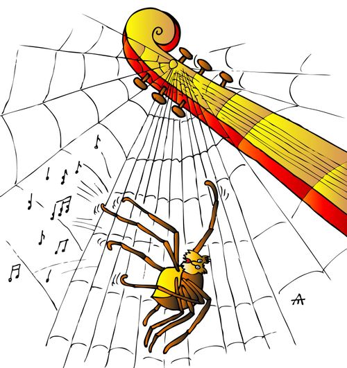 Spider Plucking a Guitar