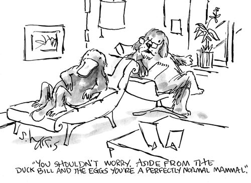"You shouldn't worry. Aside from the duck kill and the eggs you're a perfectly normal mammal."