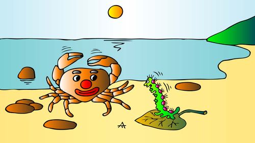 Crab with a clown face.