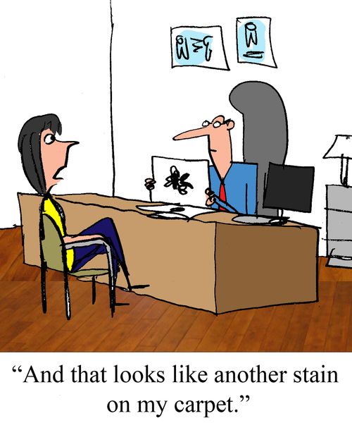 "And that looks like another stain on my carpet."