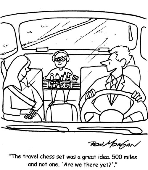 "The travel chess set was a great idea. 500 miles and not one, 'Are we there yet?'."