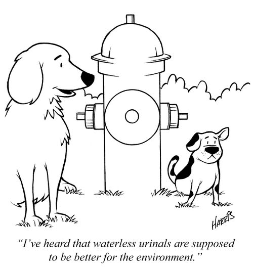 "I've heard that waterless urinals are supposed to be better for the environment."
