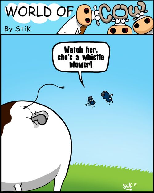 'Watch her, she's a whistle blower!'