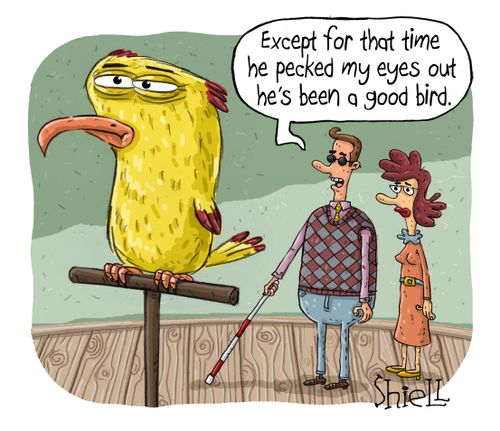 "Except for that time he pecked my eyes out, he's been a good bird."