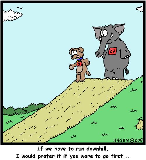 "If we have to run downhill, I would prefer it if you were to go first..."
