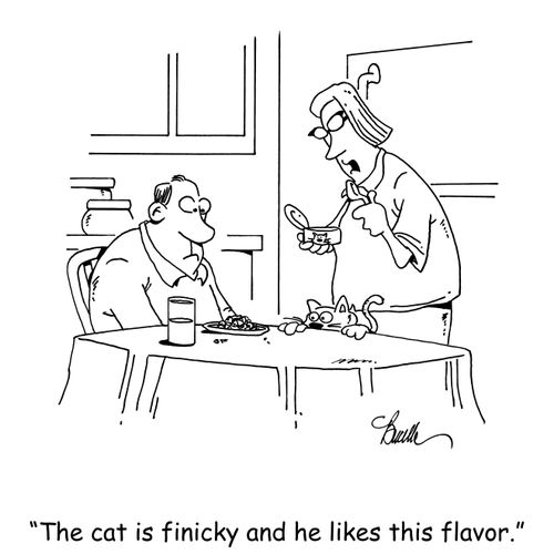 'The cat is finicky and he likes this flavor.'