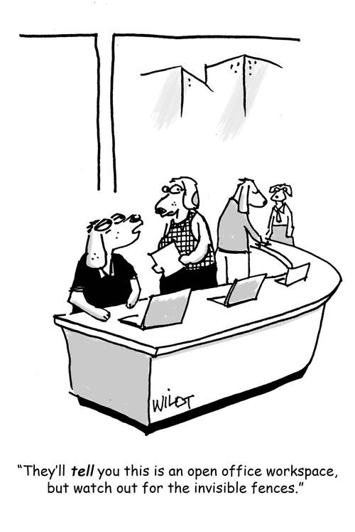 'They'll tell you this is an open office workspace, but watch out for the invisible fences.'