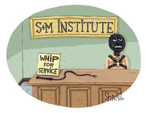 S and M institute