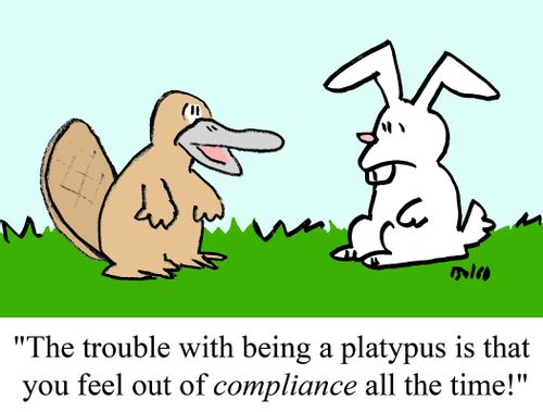 "The trouble with being a platypus is that you feel out of COMPLIANCE all the time!"
