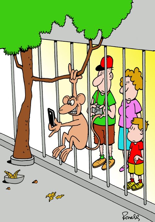 A monkey takes a selfie at a zoo with the tourists.