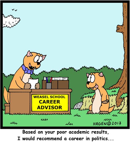 "Based on your poor academic results, I would recommend a career in politics..."