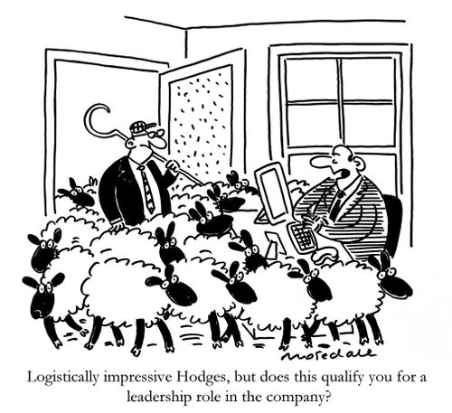 "Logistically impressive Hodges, but does this qualify you for a leadership role in the company?"