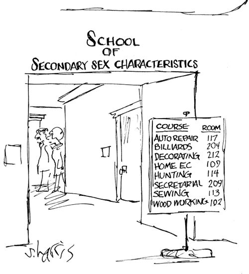 'School of secondary sex characteristics'