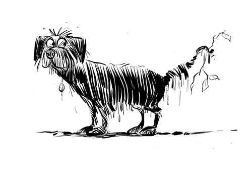 Mongrel