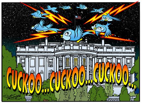 "Trump's Cuckoo!" ( the new ) What Now Cartoon