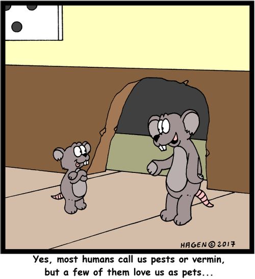 'Yes, most humans call us pests or vermin, but a few of them love us as pets...'
