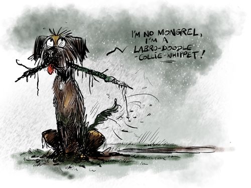 "I'm no mongrel, I'm a labro-doodle-collie-whippet!"