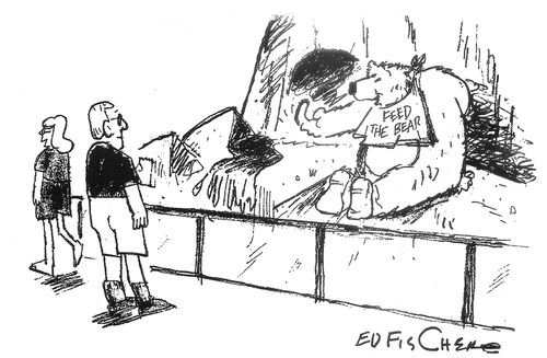 'Feed the bear.'